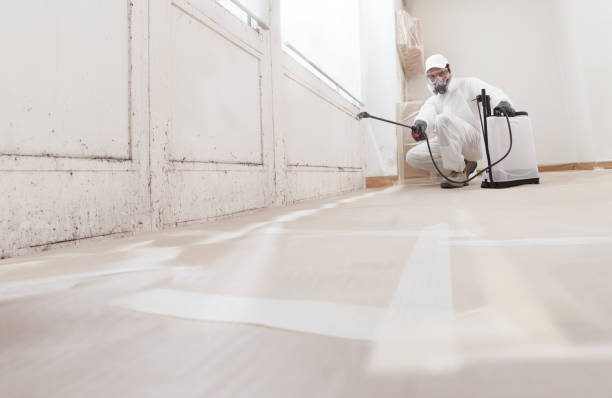 24/7 Emergency Mold Cleanup experts in York, PA