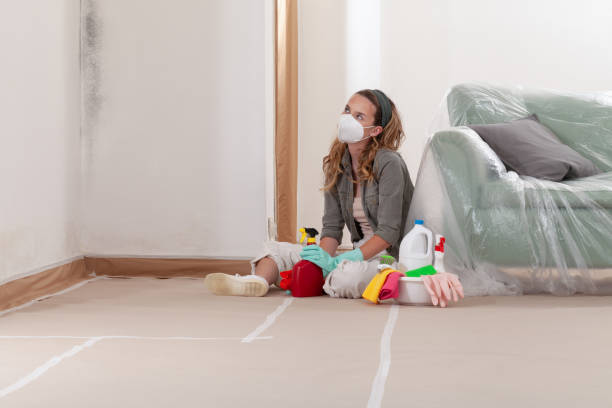 Reliable Mold Cleanup contractor in York, PA by Cheap Mold Removal